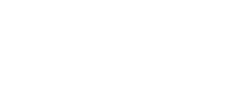 Akzente Raumbegruenung DEV